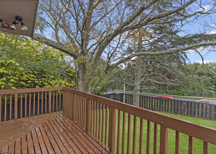  at 197 Abbotts Way, Remuera, Auckland City, Auckland