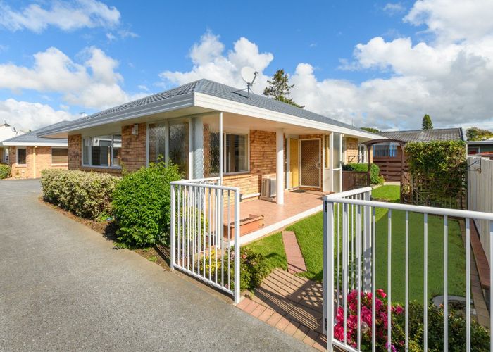  at 482B Devonport Road, Tauranga South, Tauranga