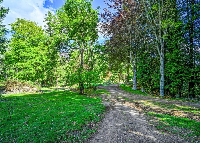  at 558 Old Coach Road, Te Pohue, Hastings, Hawke's Bay