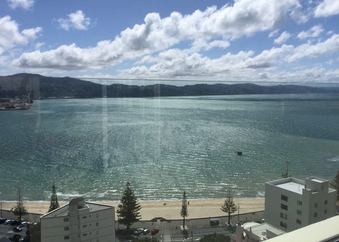  at 3D/20 Oriental Terrace, Oriental Bay, Wellington, Wellington
