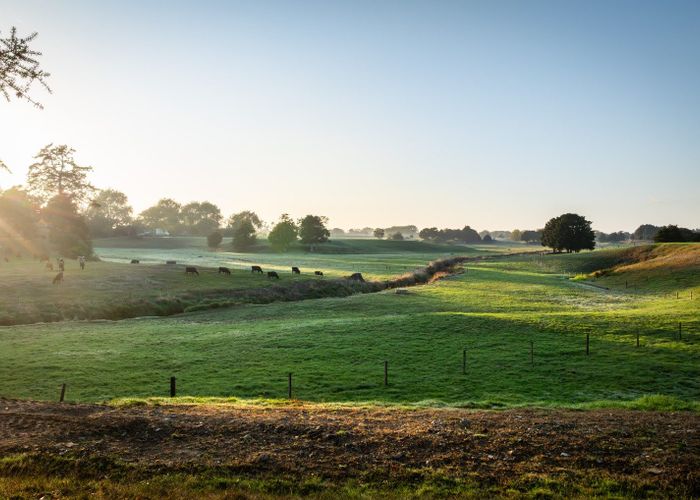  at 1232C Gordonton Road, Gordonton, Waikato, Waikato