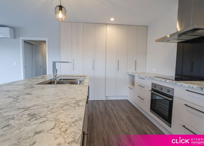  at 19 Forfar Street, Clyde Hill, Dunedin