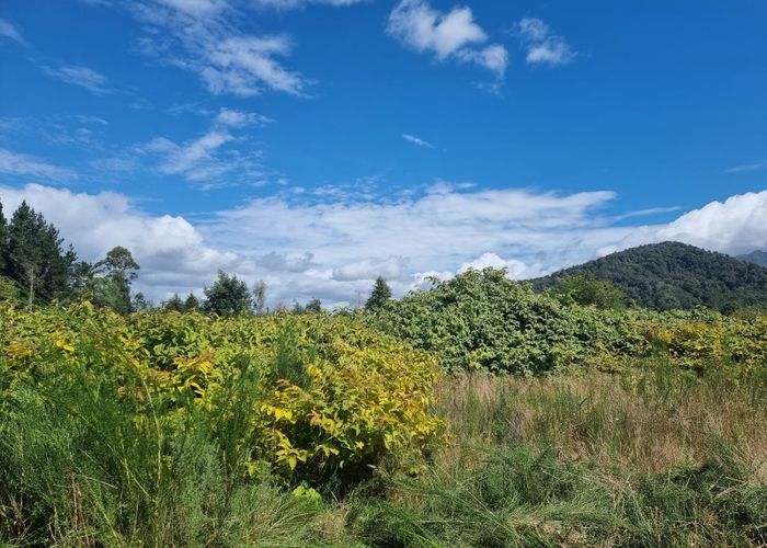  at 48 Clifford Street, Blackball, Greymouth