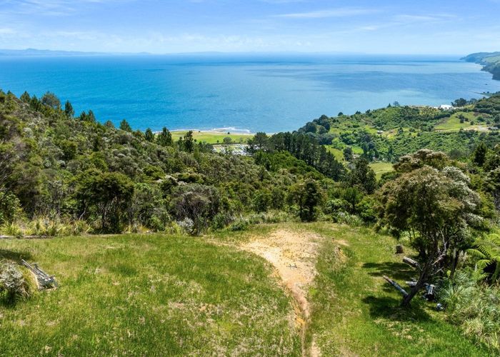  at 98 Tapu Rise Heights, Tapu, Thames-Coromandel, Waikato