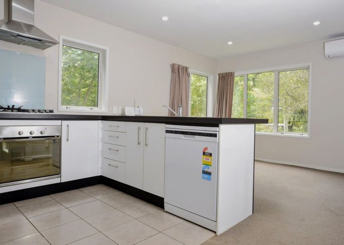  at 100b Holloway Road, Aro Valley, Wellington, Wellington