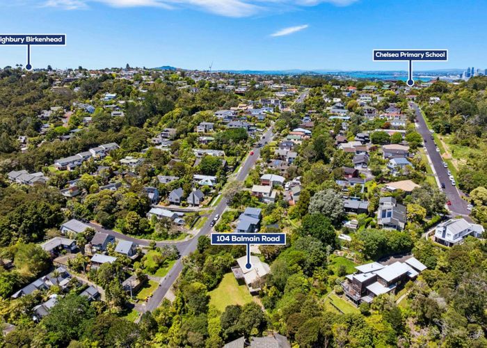  at 104 Balmain Road, Chatswood, North Shore City, Auckland