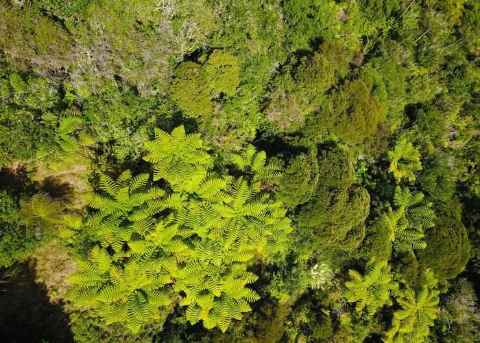  at 0 Te Karoa Rd, Peria, Kaitaia