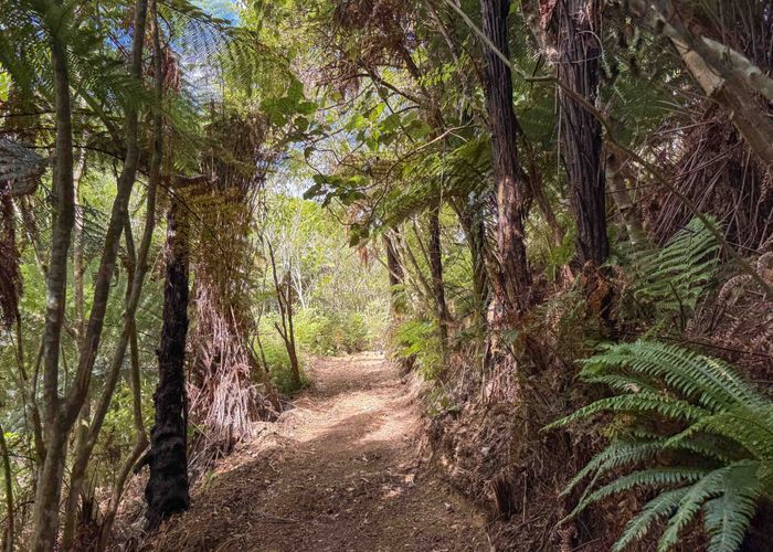  at 115 Kaitawa Road, Te Horo, Kapiti Coast, Wellington