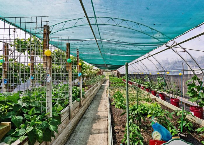  at 78 East Road, Ascot, Invercargill, Southland