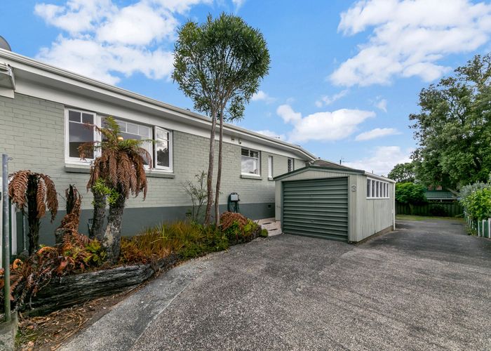  at Tawhiri Road, Greenlane, Auckland City, Auckland
