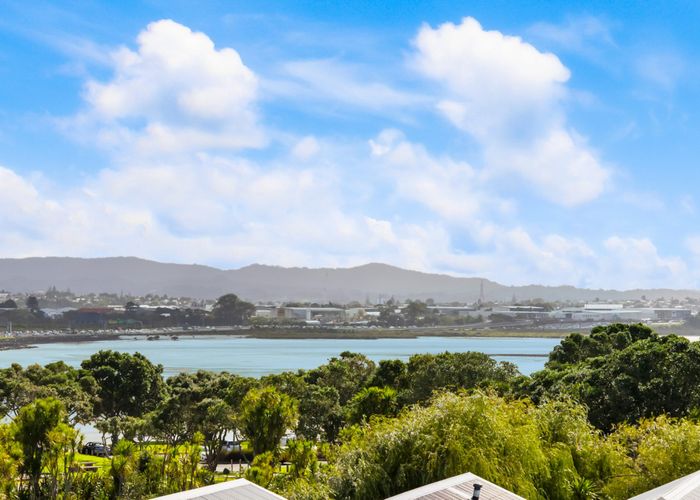  at 38 Maryland Street, Point Chevalier, Auckland City, Auckland