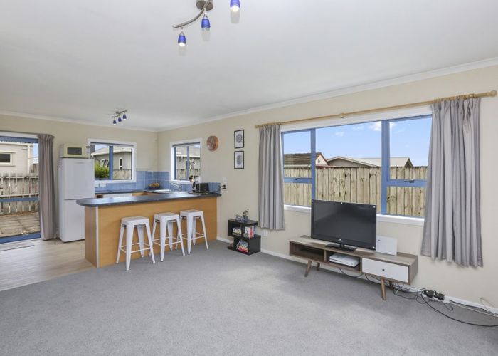  at 393 Carrington Street, Upper Vogeltown, New Plymouth