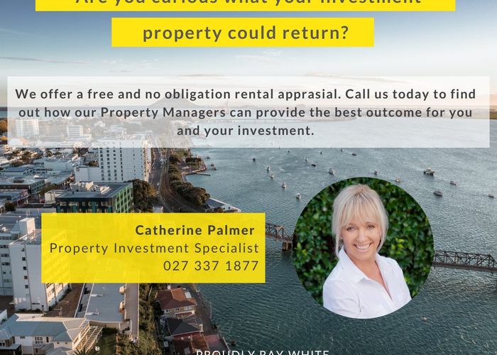  at 6/261 Waihi Road, Judea, Tauranga, Bay Of Plenty