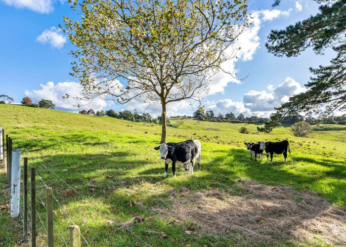  at 1549 Dairy Flat Highway, Dairy Flat, Rodney, Auckland