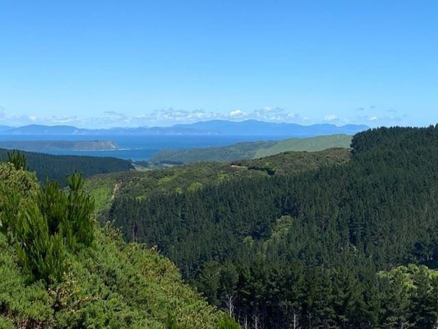  at Lot 8/669 Paekakariki Hill Road, Pauatahanui, Porirua, Wellington