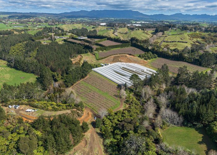  at 251B Esdaile Road, Whakamarama, Western Bay Of Plenty, Bay Of Plenty