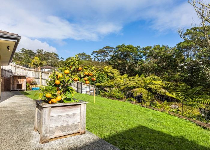  at 31 Condor Place, Unsworth Heights, Auckland