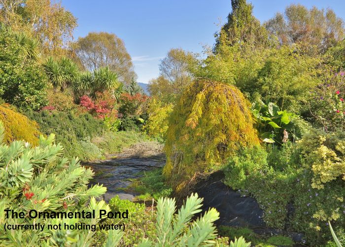 at 99 Clifton Road, Takaka