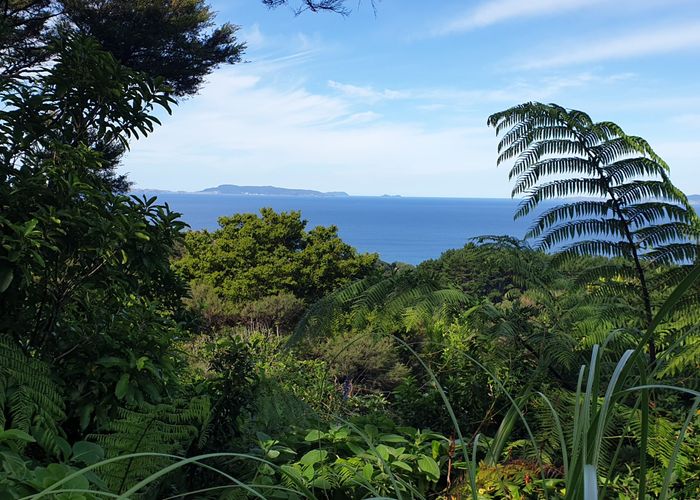  at 492 Tuateawa Road, Coromandel, Thames-Coromandel, Waikato