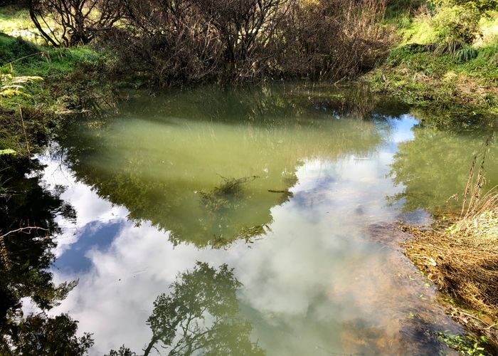  at 48 MICK DILLON RD, Makarau, Warkworth