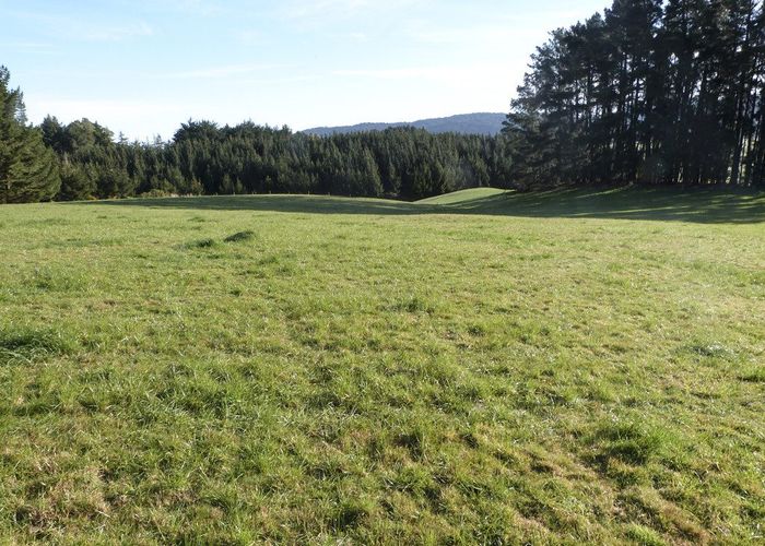  at 1500 Brydone Glencoe Road, Dacre, Southland, Southland