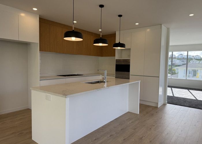  at 17 Kaupeka Road, Millwater, Rodney, Auckland
