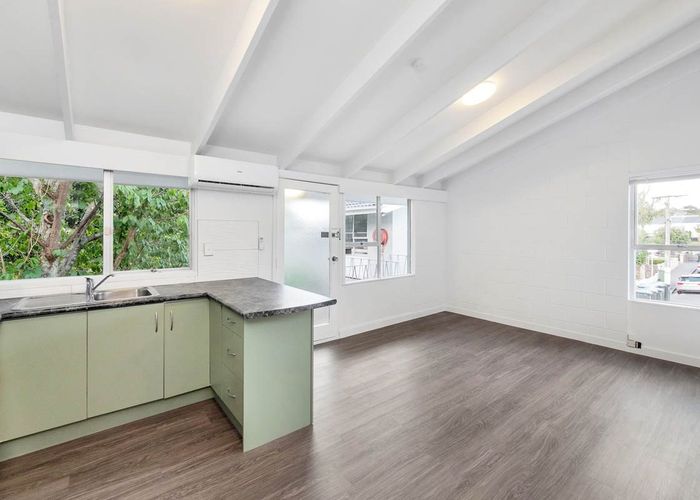  at 19C Taupata Street, Mount Eden, Auckland City, Auckland