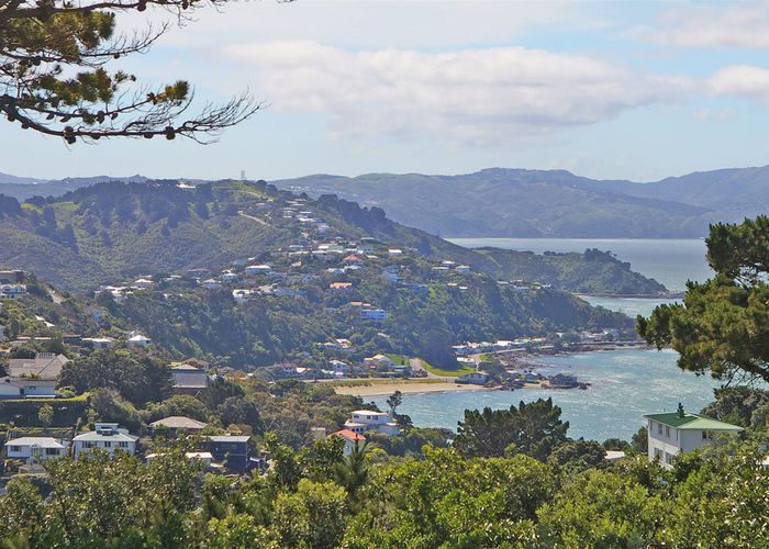  at 80 Beacon Hill Road, Strathmore Park, Wellington