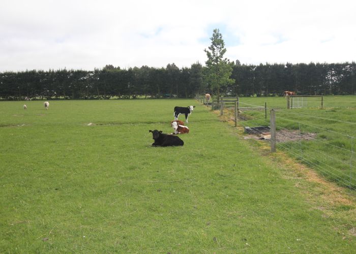  at 269 School Road, West Eyreton, Rangiora