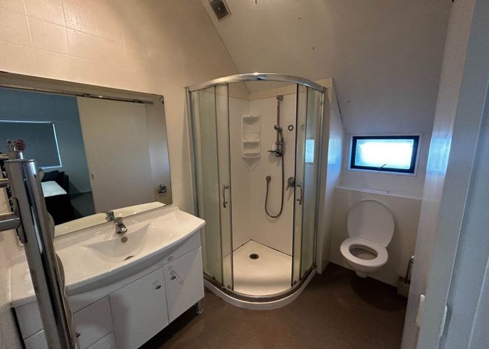  at 199 Abbotts Way, Remuera, Auckland City, Auckland