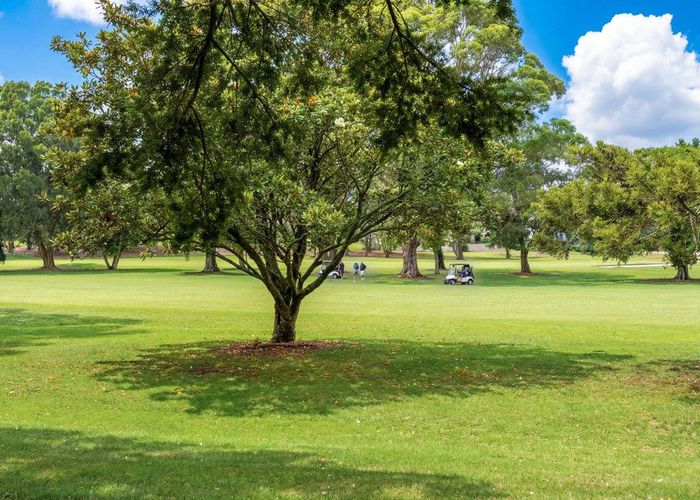  at 11 Norman Lesser Drive, Saint Johns, Auckland City, Auckland