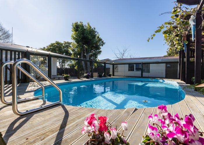  at 221 Westminster Avenue, Tamatea, Napier