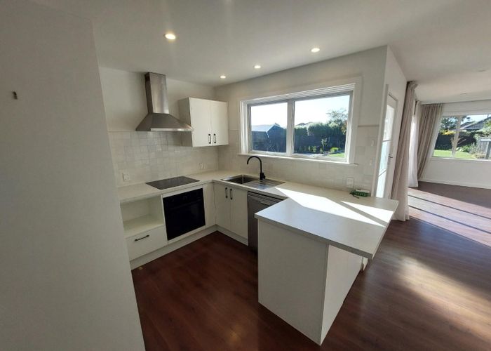  at 41 Moreland Avenue, Papanui, Christchurch City, Canterbury