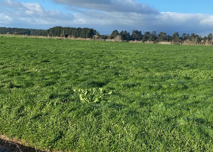  at 0 Almadale Road, Cheltenham, Feilding