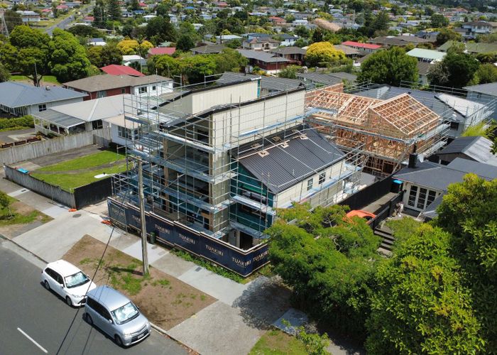  at 253 New Windsor Road, New Windsor, Auckland City, Auckland