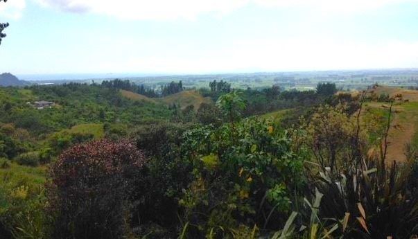  at 302E Withy Road, Manawahe, Whakatane