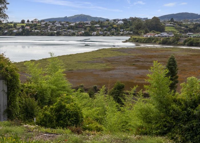  at 64B Harrier Street, Parkvale, Tauranga, Bay Of Plenty