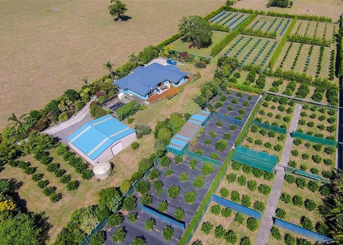  at 14 Mountain Road, Sentry Hill, New Plymouth