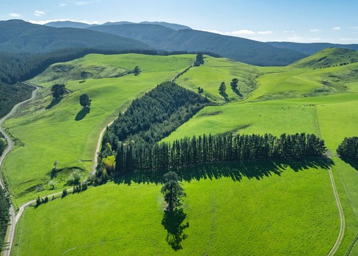  at 360 Quarry Road, Loburn, Waimakariri, Canterbury