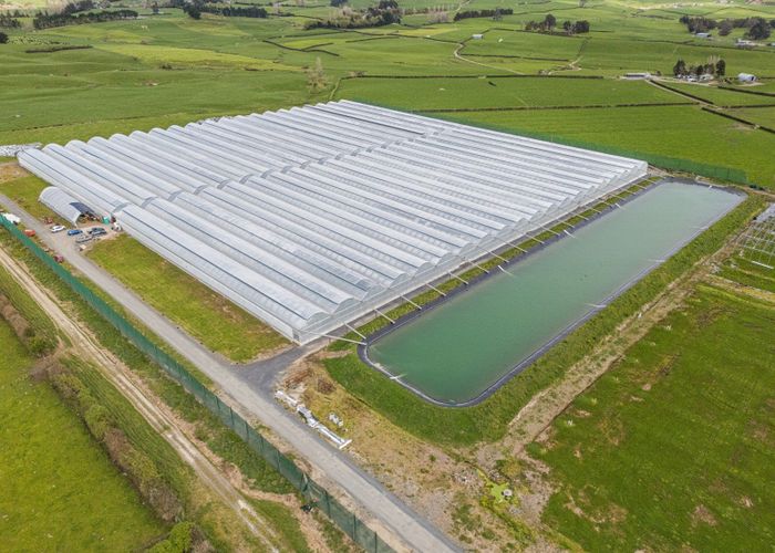  at 232 and 226 Trig Road South, Waihi, Hauraki, Waikato
