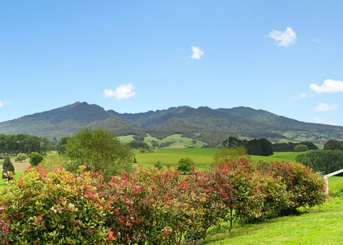  at 242 Te Pahu Road, Te Pahu, Waipa, Waikato