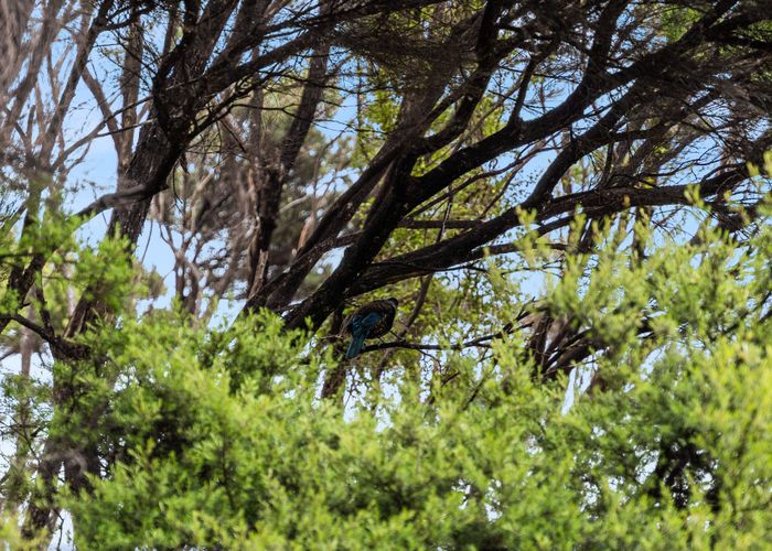  at Lot 1, 193 Tern Point, Mangawhai, Kaipara, Northland