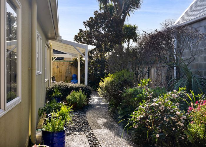  at 23 Watson Street, Strandon, New Plymouth
