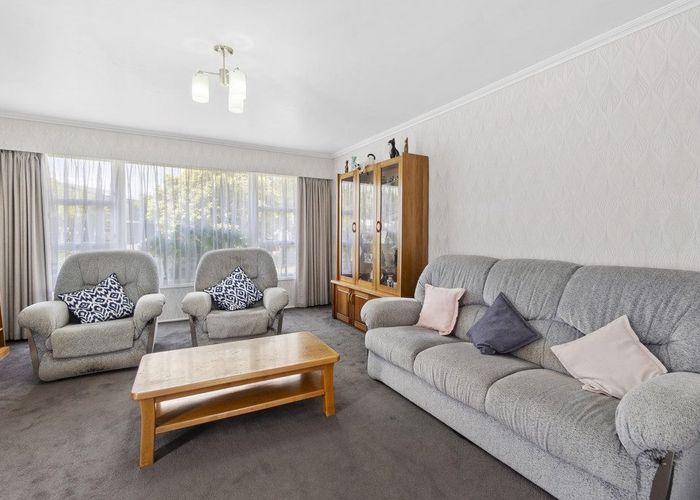  at 19 Pelorus Street, Glenview, Hamilton