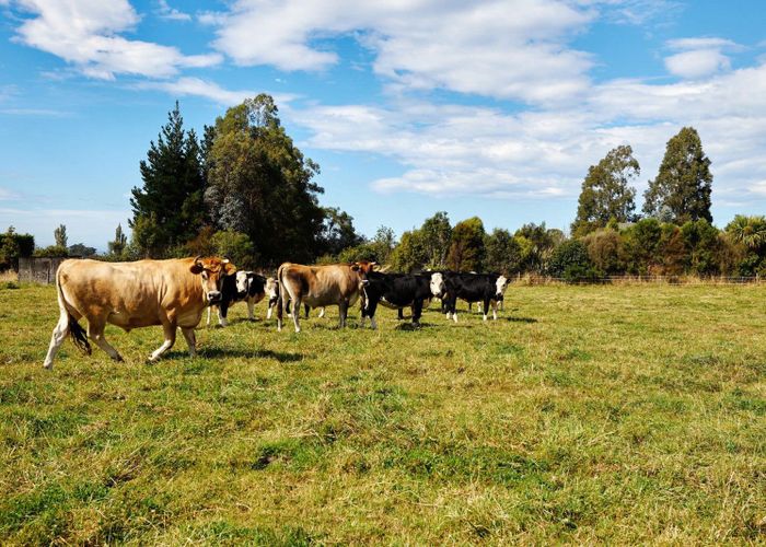  at 103 Harnetts Road, Kaikoura