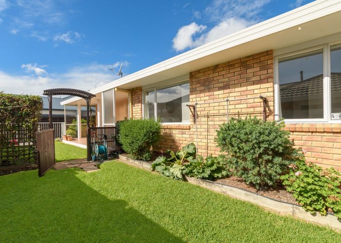  at 482B Devonport Road, Tauranga South, Tauranga