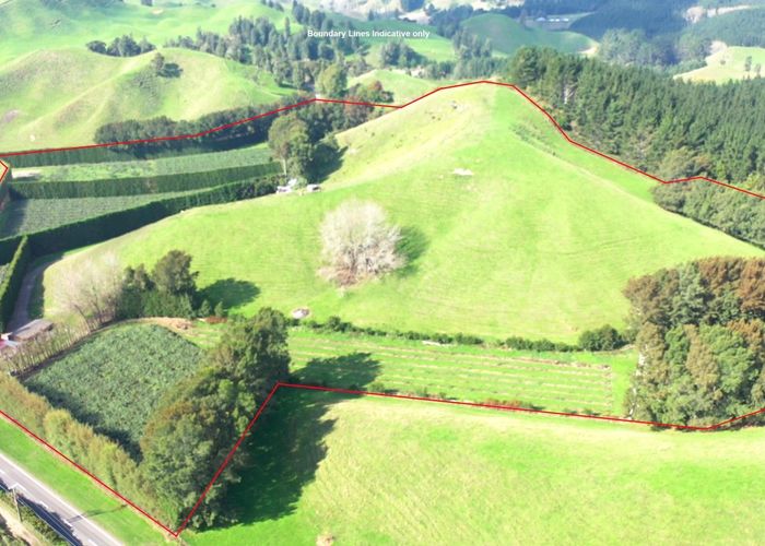 For sale 809 Pikowai Road, Pikowai, Whakatane, Bay Of Plenty homes.co.nz