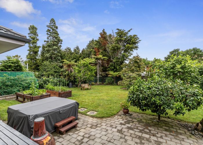  at 19 Bailey Avenue, Claudelands, Hamilton
