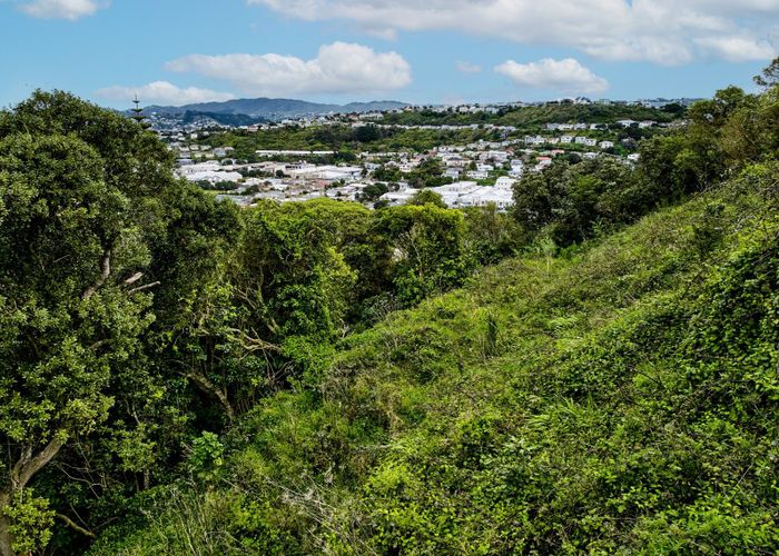  at 75 Camperdown Road, Miramar, Wellington