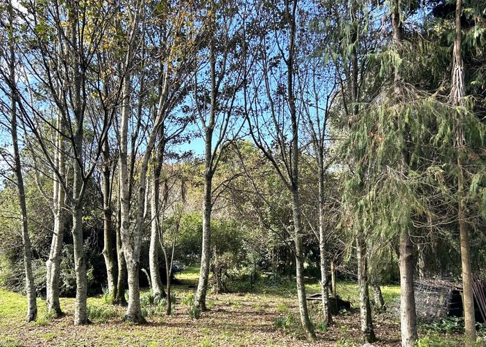 at 580 Mackay Pass Road, Golden Bay, Tasman, Nelson / Tasman
